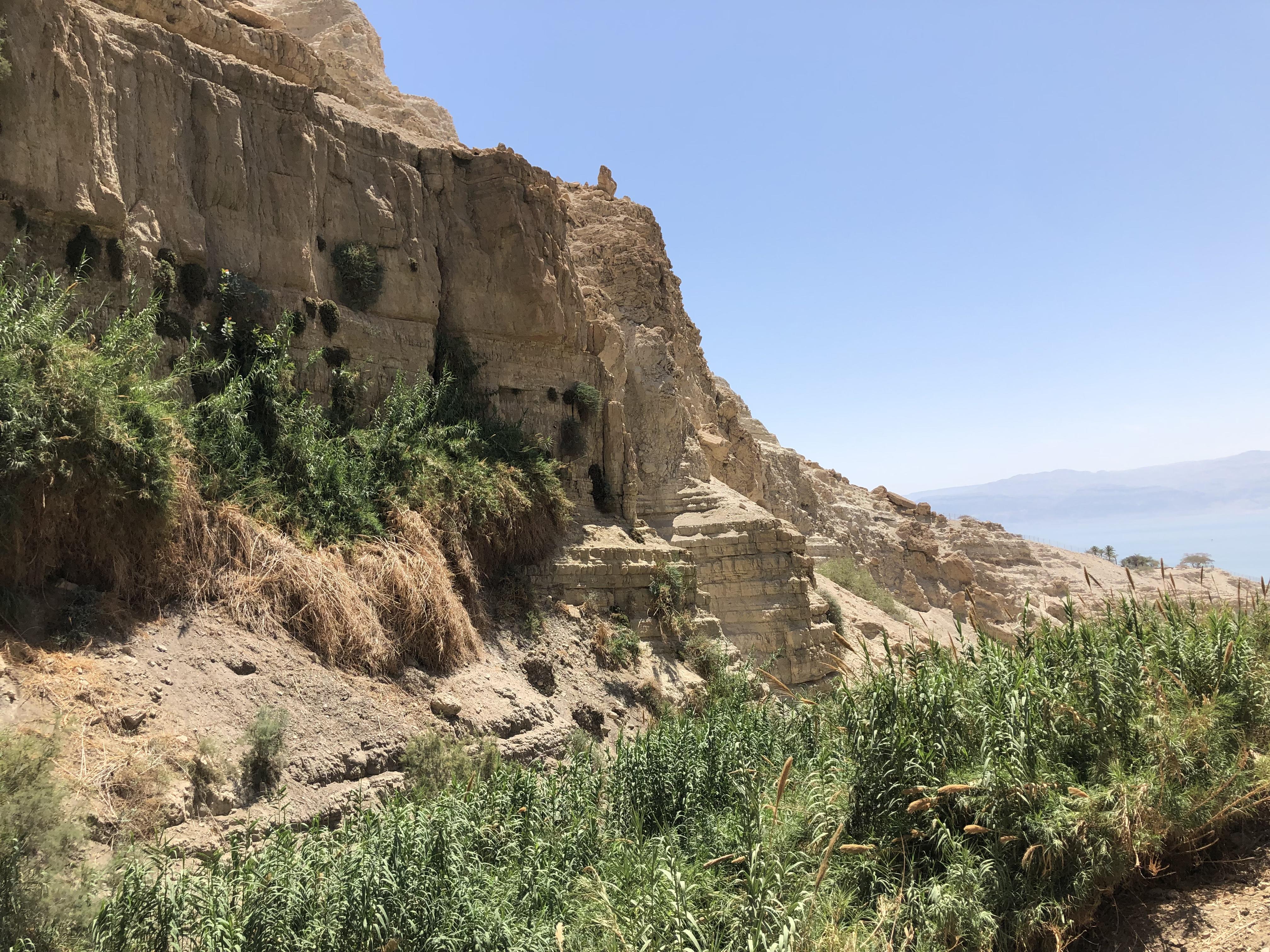 Hazazon-tamar - Engedi