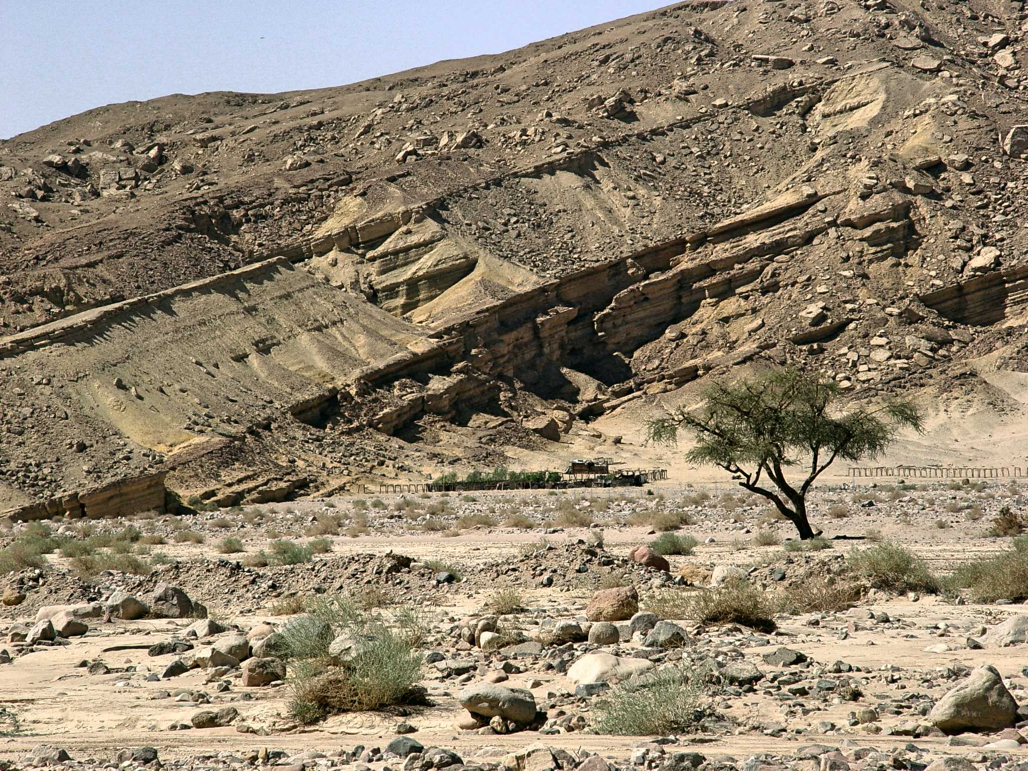 Sinai 2
