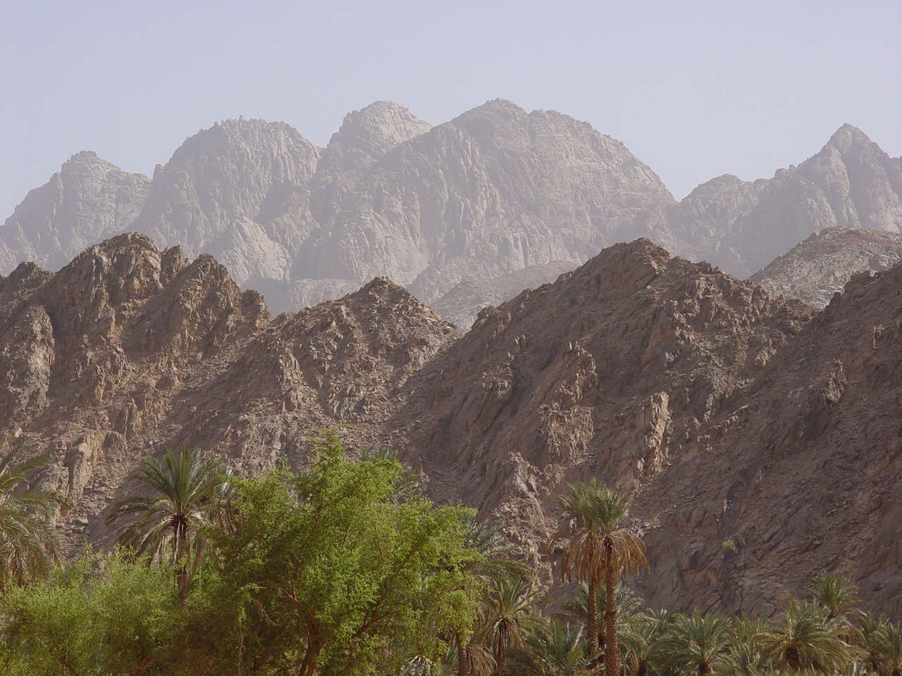 Sinai 2