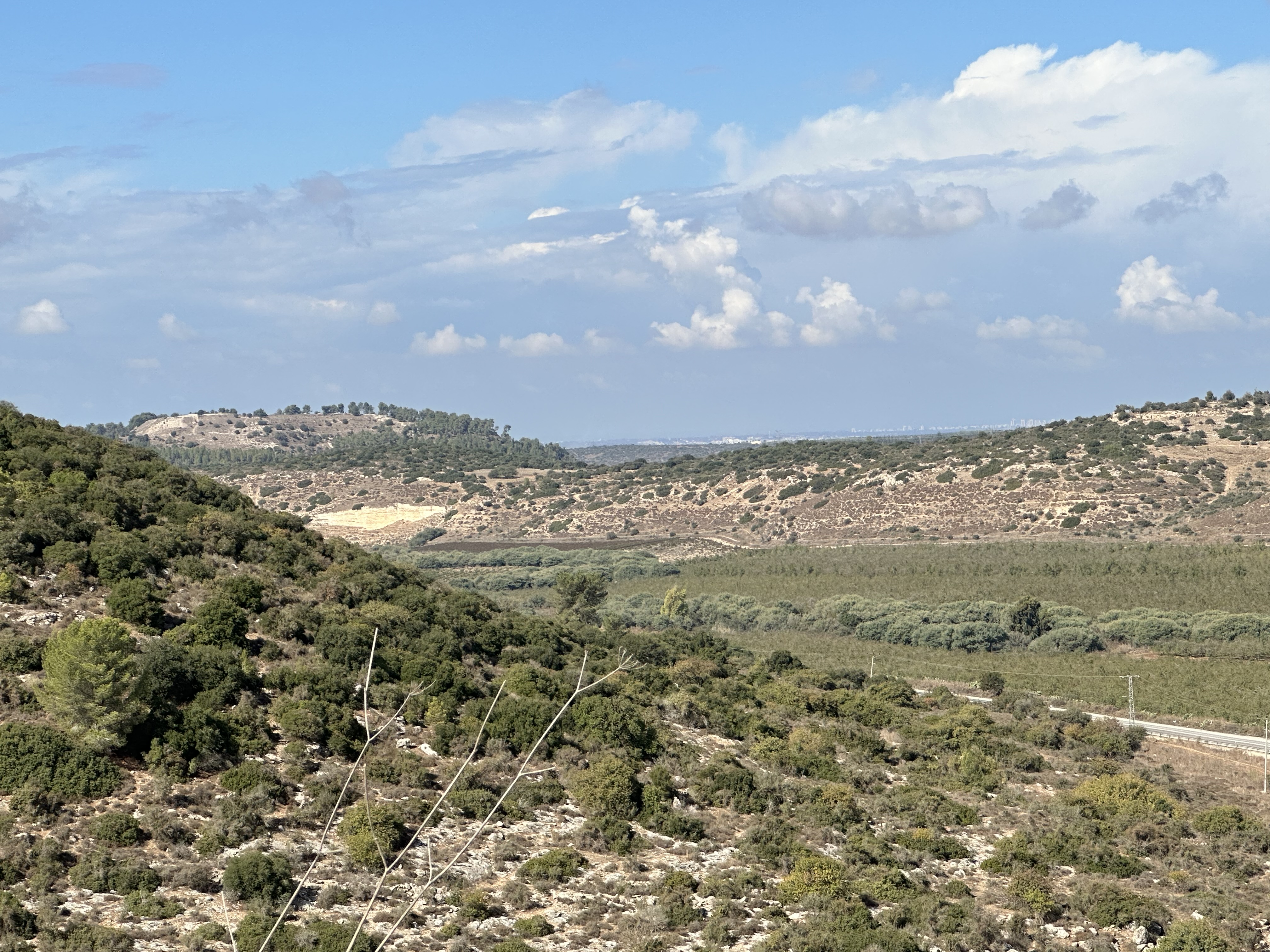 Valley of Elah