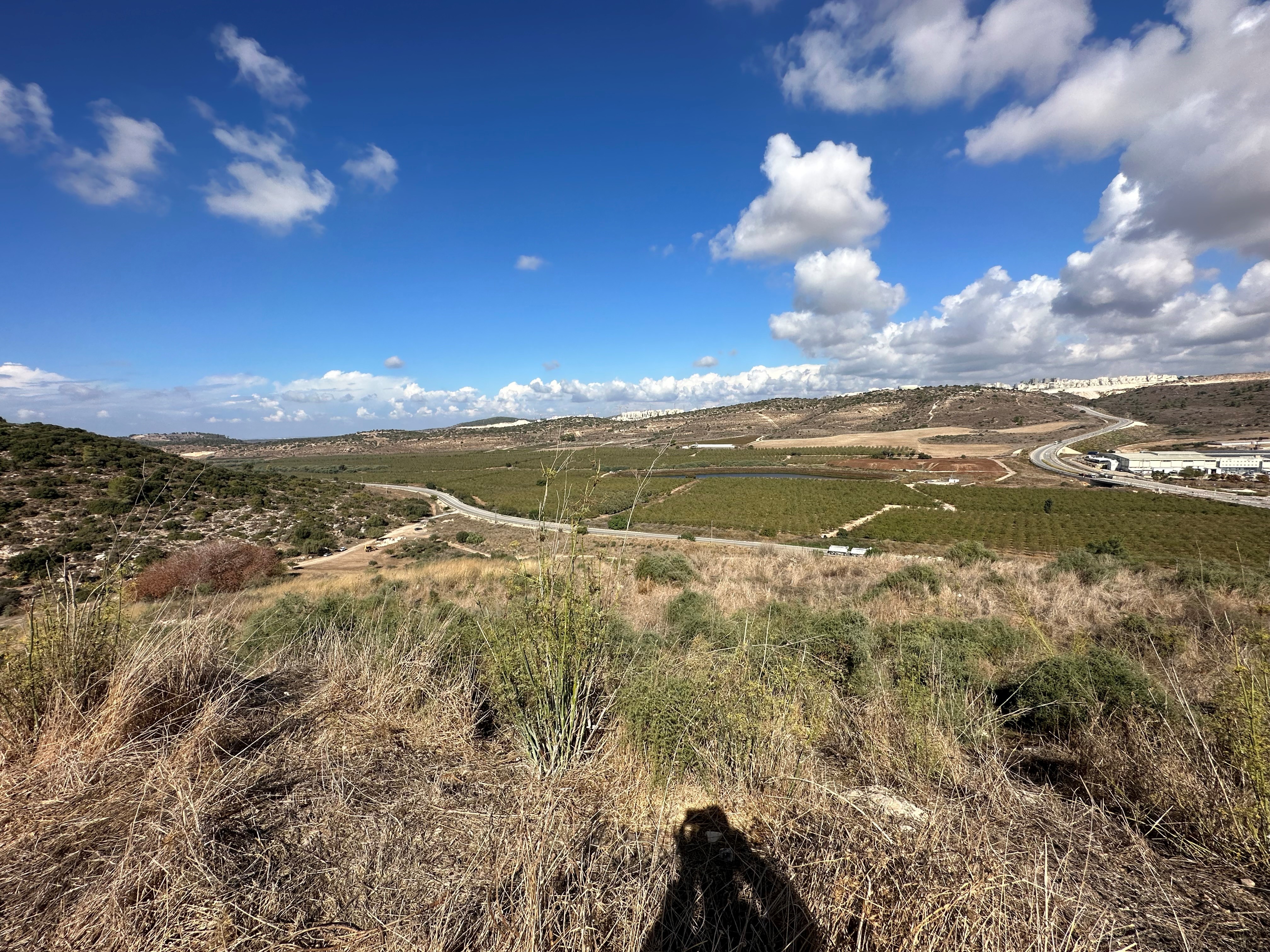 Valley of Elah