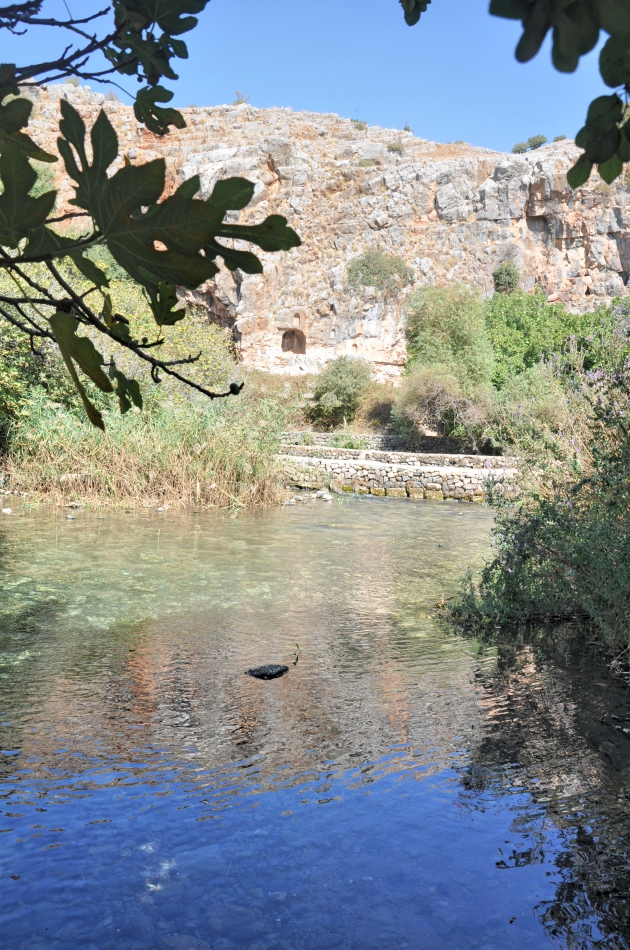 Banias River