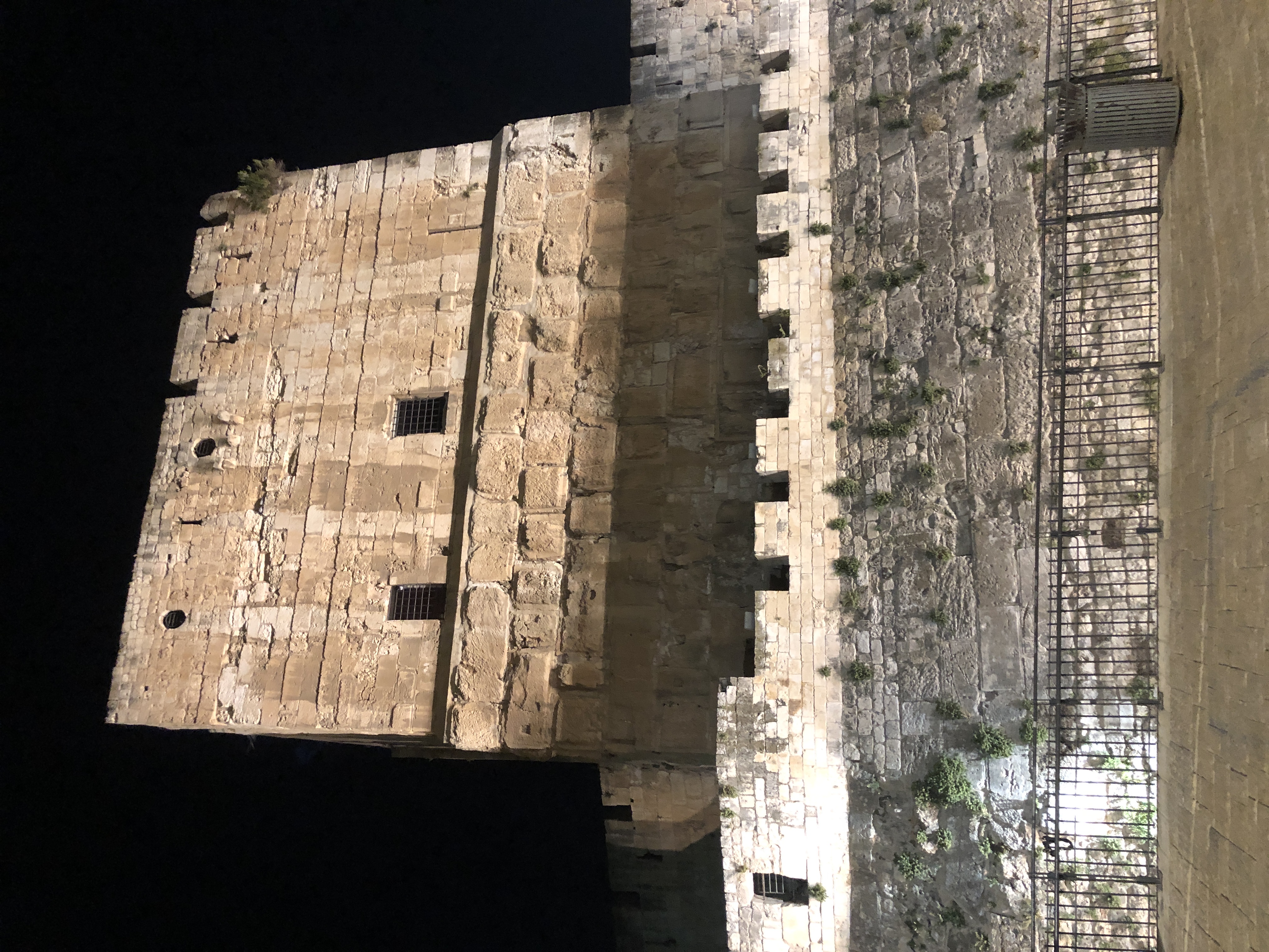 Tower of David = Hippicus