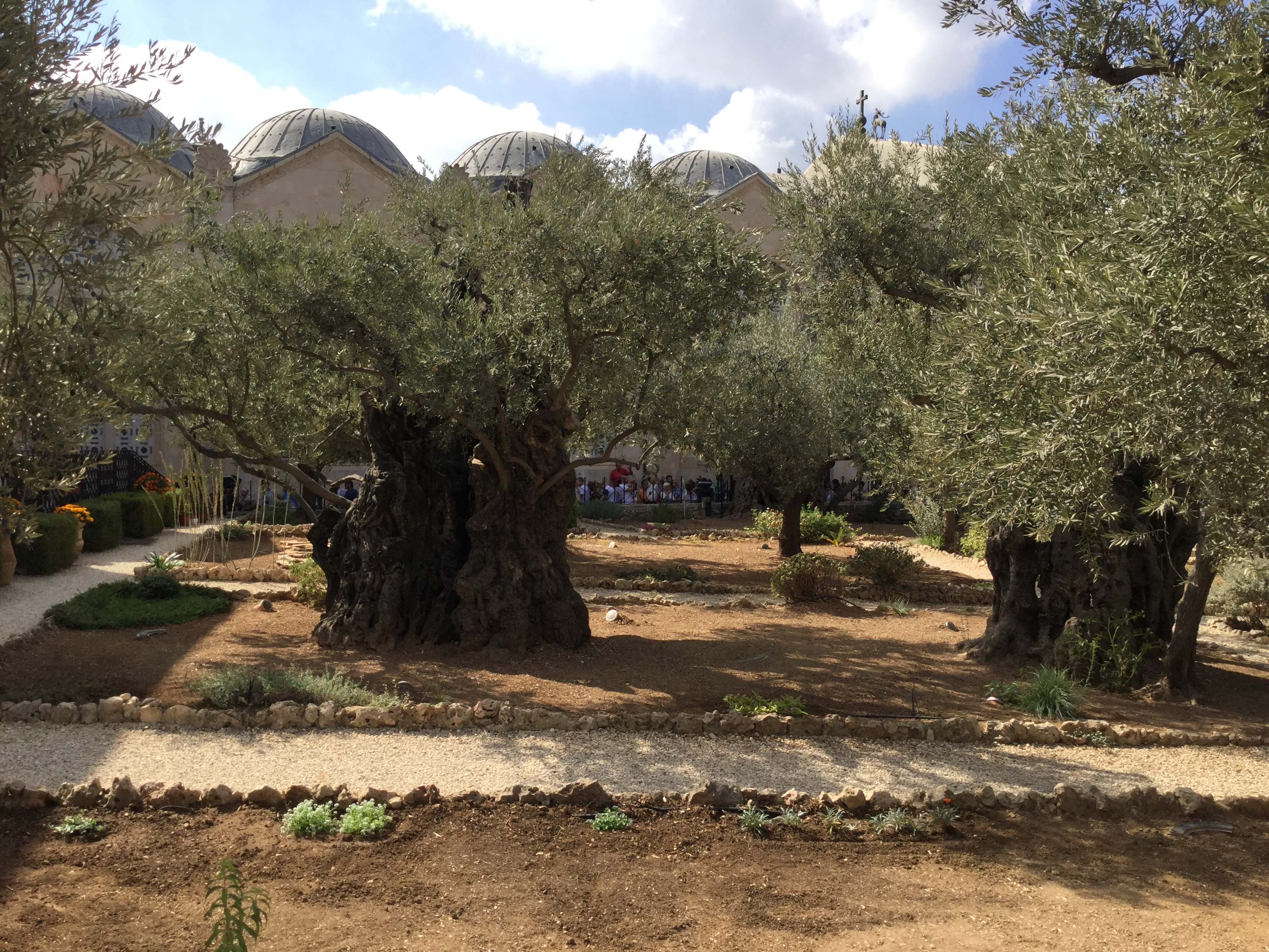 Gethsemane