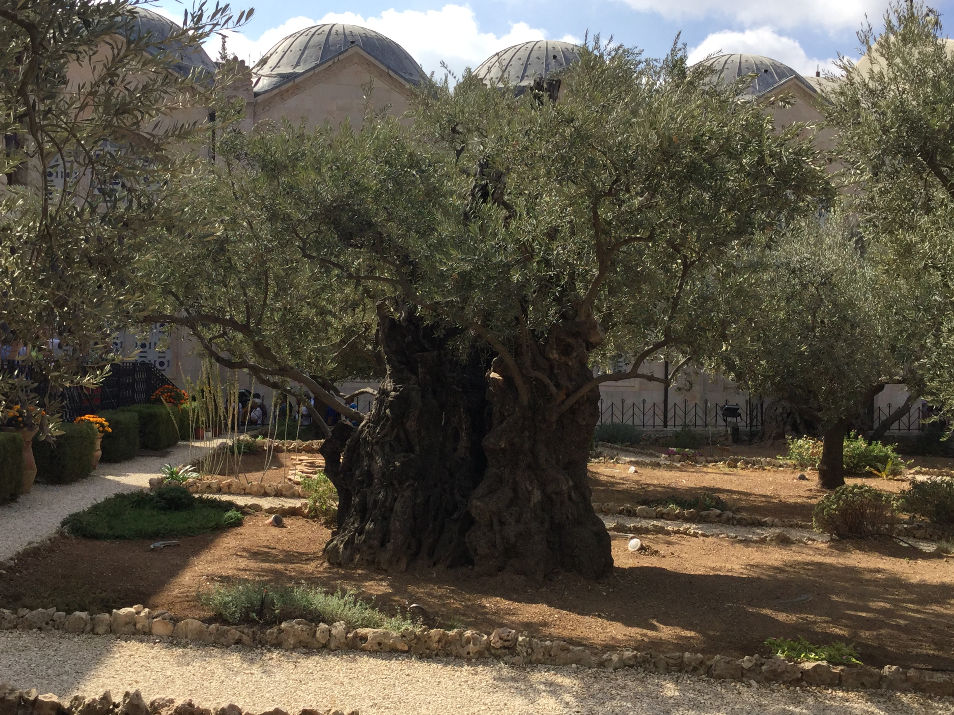 Gethsemane