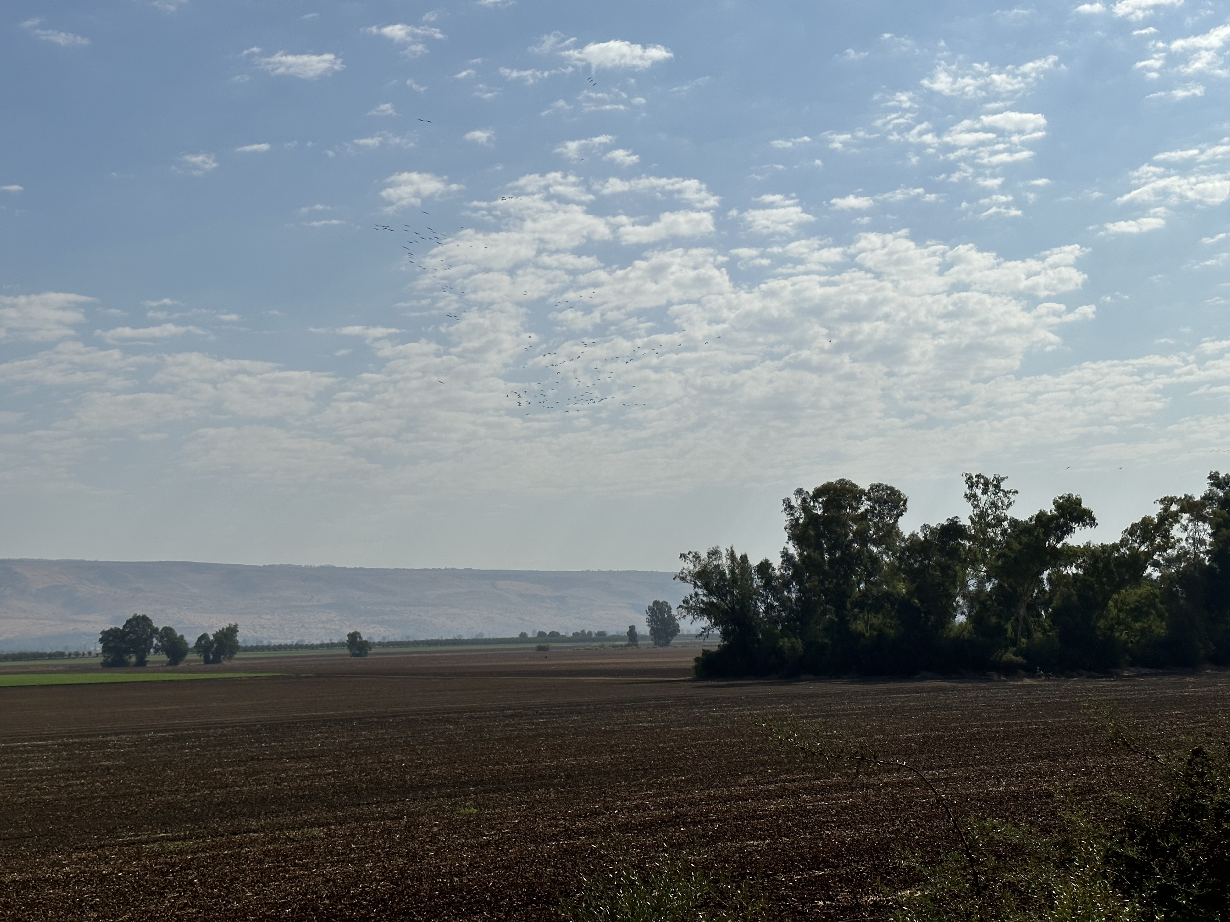 Merom - Valley of Hula