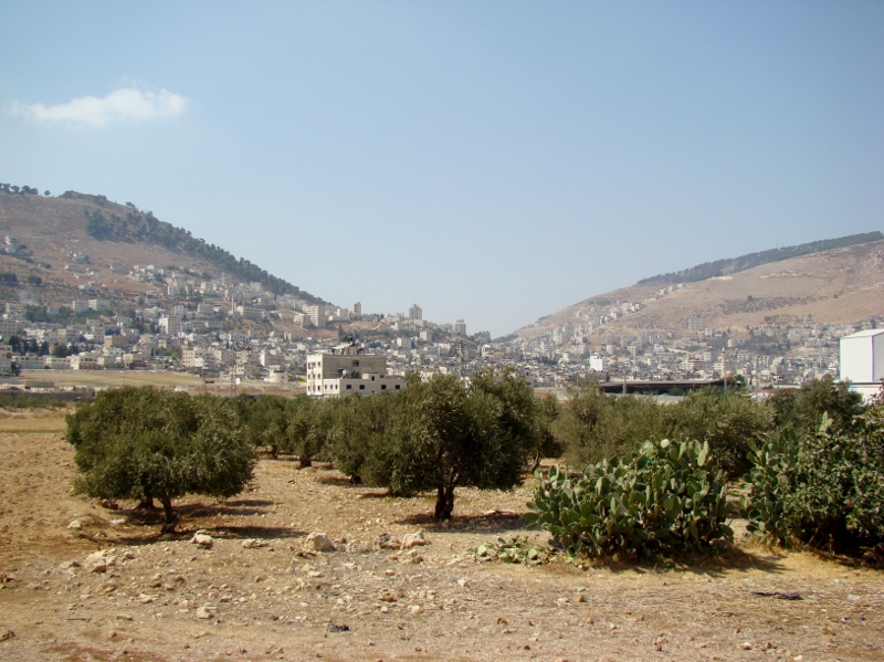 Mount Gerizim