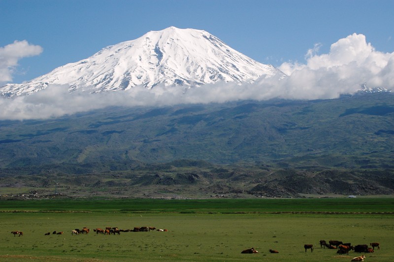 Ararat