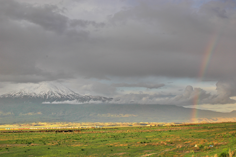 Ararat