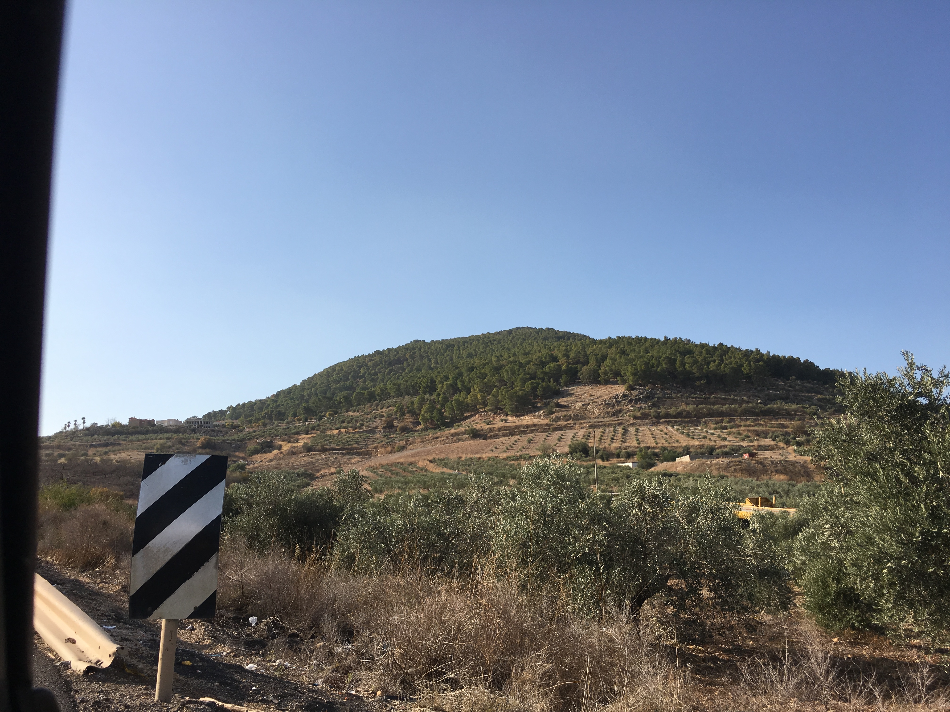 Mount Tabor