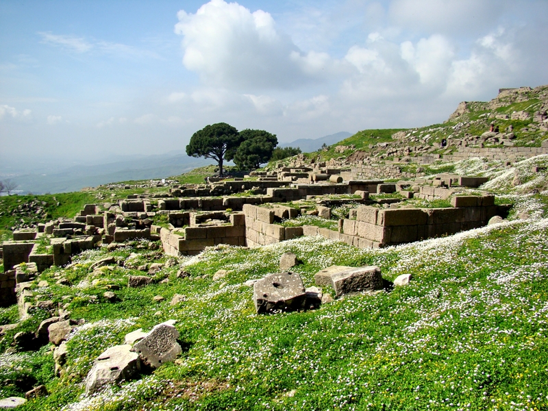 Pergamum