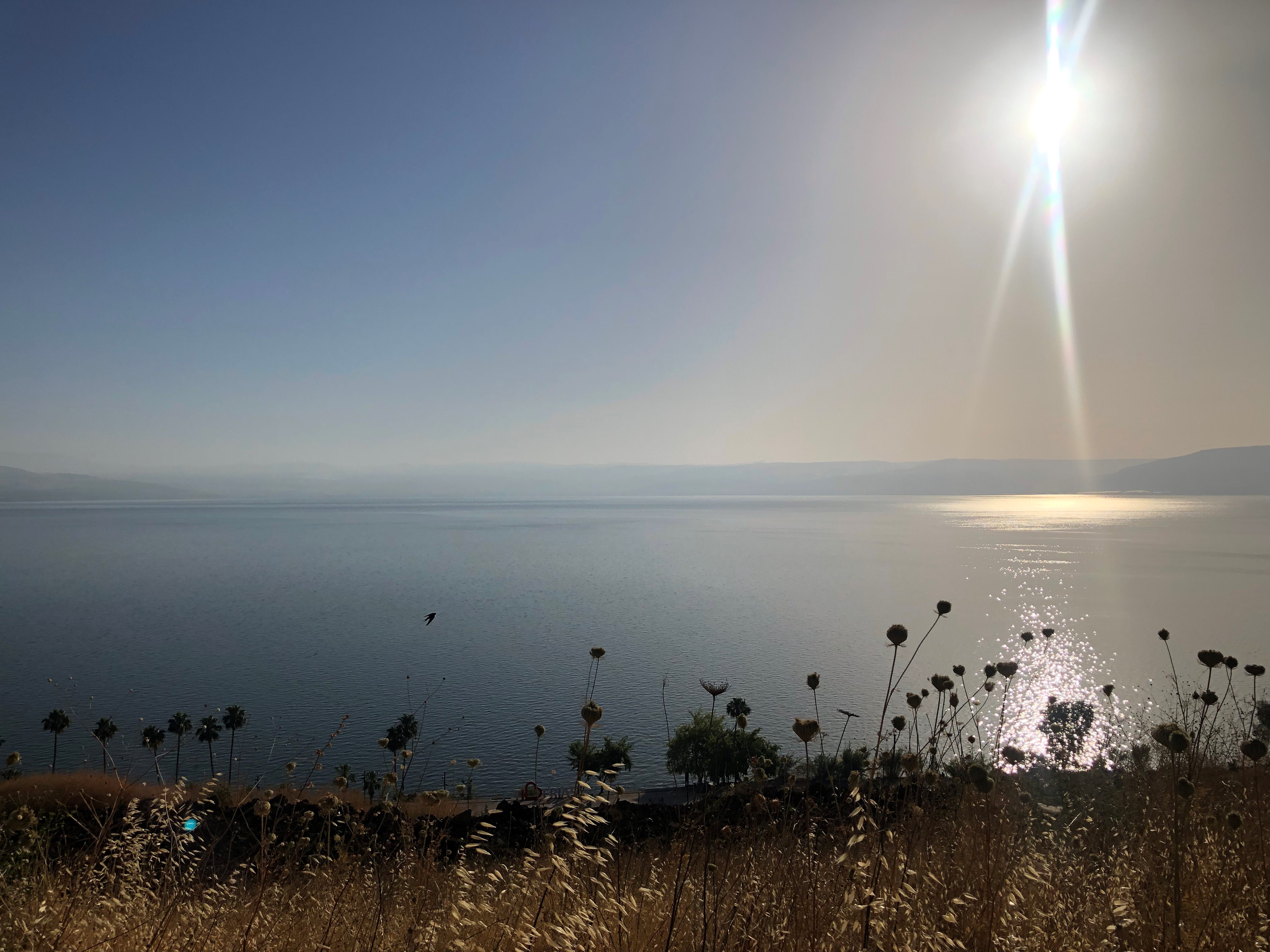 Sea of Galilee-Tiberias-Chinnereth